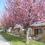 Ansicht Wd Donaustadt