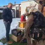 01c97fe3 690f 4c51 Be5a D0767f032503