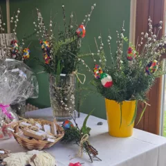 77c70874 E544 4a94 Bc40 Be3f5350bd61