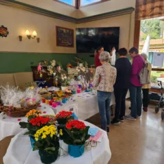 Photo 2025 04 09 13 10 53