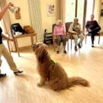 15e2d139 F55b 485b 9201 0522e6c6b62b