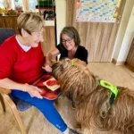 7f214e98 99e8 4ebc A3d9 77daa035cf96