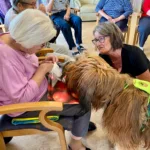 8787e945 8afe 497f 804b 3506f617ee47