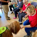 Edb9fd9d 62b8 4d63 8899 Bea6b75187ad